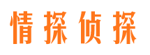 西乡市婚外情调查